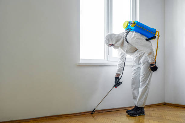 Best Bed Bug Extermination  in Siesta Acres, TX
